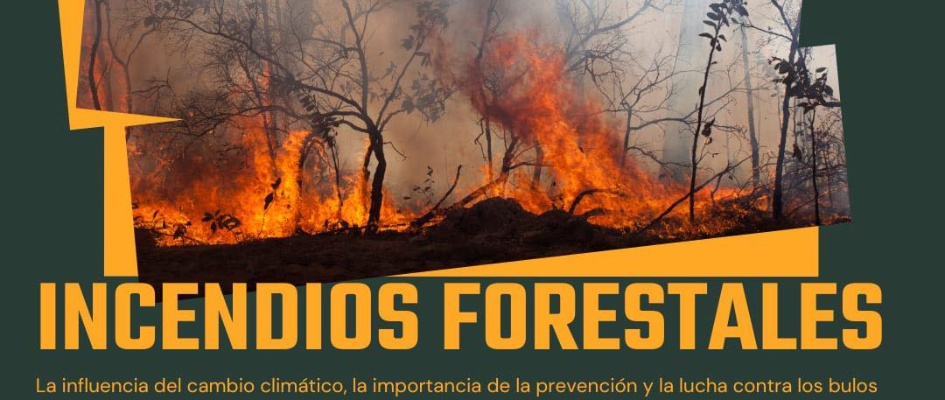 incendios